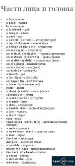 английские слова с транскрипцией и переводом для 3 класса Anglijskij Yazyk V 2020 G Inostrannyj Yazyk Anglijskij Yazyk Izuchat Anglijskij