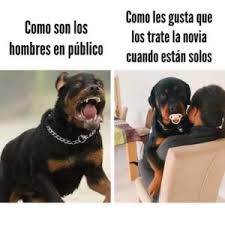 Memes Noticias De Videojuegos Ps5 Xbox Series X Android Y Pc Roblox Y Hytale In 2020 Memes Animals Dogs