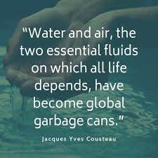 If we don't act now, there could be more plastic than fish in the ocean by 2050. 20 Quotes On Plastic Pollution Naturaler