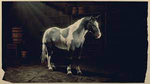 The silver tail buckskin is a great all around horse, so if you are looking for a new horse very late in the game, he is a good route to go. Norfolk Roadster Red Dead Wiki Fandom