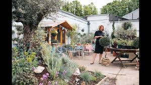 Sep 06, 2019 · for most, olive trees conjure up ideas of vast fields in the mediterranean, coupled with a blistering sun to help ripen the fruit. Caring For Olive Trees In The U K Youtube