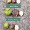 Maybe you would like to learn more about one of these? 1