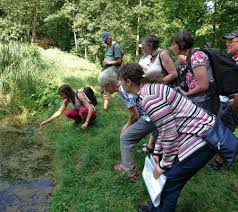 Zusammenschnitt von ein paar hütter wohld trails. Natur Und Umweltfuhrungen Im Hutter Wohld Doberan Heiligendamm De
