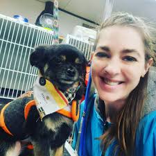 How often are you bringing your pet to the groomers?