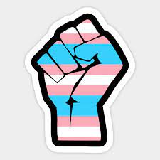 Pride flags are a diverse set of flags that are used for representing a gender or sexual identity that is fully part of the lgbt community. Resist Fist Transgender Flag Trans Pride Transgender Pride Aufkleber Teepublic De