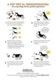 Great Ideas Dog Paw Reflexology Chart Dog Training