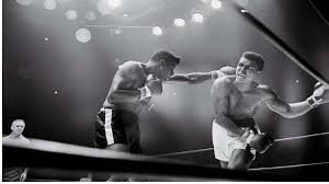 Looking for the best muhammad ali wallpaper 1920x1080? Download Free Muhammad Ali Wallpapers Pixelstalk Net