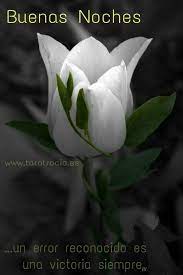 Pin De Martha Gomez En Dulces Suenos Pequenas Flores Blancas Buenas Noches Mejores Flores