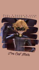Cat Noir Wallpaper Aesthetic Cat Noir Wallpaper Cat Noir Wallpaper Miraculous Wallpaper Miraculous Ladybug Anime