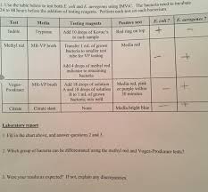 Solved 1 Use The Table Below To Test Both E Coli And E Ae