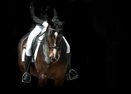 Event Ocala, FL (WEC) Standard Show