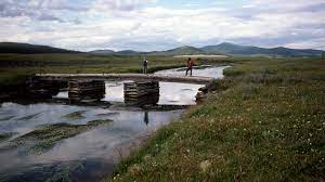 Always be aware of your surroundings and look for signs of grizzly bears. Pelican Valley Trail U S National Park Service