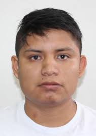 Antecedentes de Otorongos Elecciones 2022