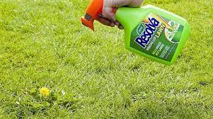 Best Weed Killer For Lawns In 2021 Kill Weeds Not Grass