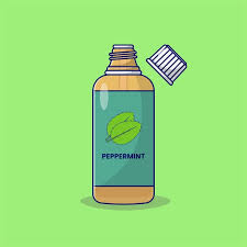 Peppermint oil Vector Art Stock Images | Depositphotos