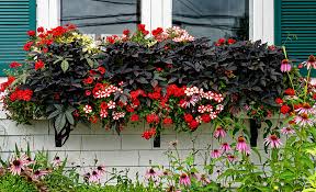 Shop an assortment of best selling bushes and shrubs, grown and packaged by plant lovers Front Yard Landscaping Ideas The Home Depot