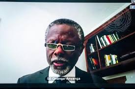 Security Council Meets