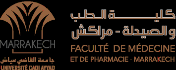 Http Wd Fmpm Uca Ma Biblio Theses Annee Htm Ft 2016 These14 16 Pdf