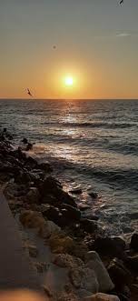 Photos, address, and phone number, opening hours, photos, and user reviews on yandex.maps. 900 Romania Ideas In 2021 Romania Visit Romania Vintage Romania