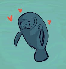 Cute Manatee Drawing Google Search Manatee Cute Drawings Animal Art