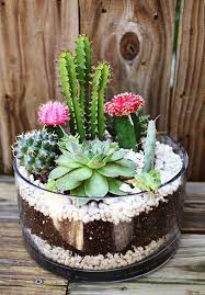 If you don't know west elm, check them out they have amazing modern home decor products. Weekend Project Alert 23 Diy Terrariums To Inspire You Succulent Garden Diy Succulents Diy Plants