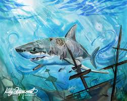 Shark Print In 2020