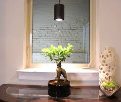 Read about how to retrofit modern lighting for your home. Grow Light Wikipedia
