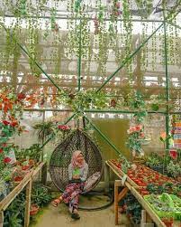 Green House Lezatta Tempatnya Selfie Para Pecinta Anggrek Anggrek Rumah Pohon Bunga