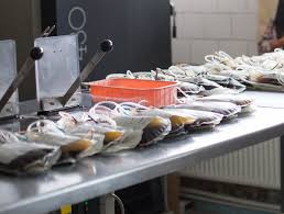 Se exclude donarea de ovocite, de sperma la circa 12 zile de la embriotransfer vom face o analiza de sange, beta hcg, sa vedem daca exista o. Florin Munteanu PloieÈteanul Cu Una Dintre Cele Mai Rare Grupe De Sange Nu Mai AveÈi Nevoie De Nimic CÄ Eu AÈ Vrea SÄ Vin SÄ Donez Sange Èi SÄ VÄ Ajut