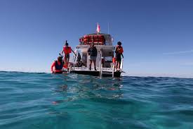 Jun 23, 2021 · pennekamp elementary in manhattan beach has a new principal. Snorkeling John Pennekamp Key Largo Snorkel Around The World
