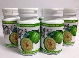 Gnc herbal plus® garcinia cambogia 500mg. Dz Garcinia Herbal Plus 500mg Esjivi Online Store