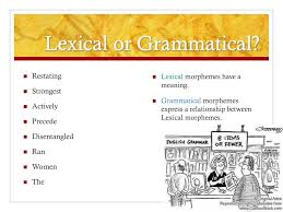 Lexical morphemes are only one type of morpheme. Ppt Morphology Powerpoint Presentation Free Download Id 3366383