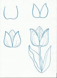 Art Class Ideas More Flowers For Spring Flower Drawing Tulip Drawing Flower Art