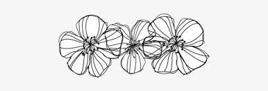 This png image is transparent backgroud and png format. Flowers Overlay And Transparent Image Transparent Black And White Flowers Tumblr Png Free Transparent Png Download Pngkey