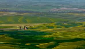 located just south of spokane in washington state the palouse is a rich farming area of some 3 000 square miles it is palouse national parks evergreen state pinterest