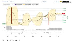 Bunnycoin Bun Price Alert Chart News On Bitscreener Com