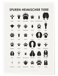 See more of tierspuren.net on facebook. Iris Luckhaus Common Animal Tracks German Tierspuren Tiere Infografik