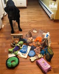 I M Not Sure I Was Given Enough Toys Funwithchesterfriday Doglovers Canvasback Cargoliner Interiorprotection Wevegot In 2020 Car Protection Dog Lovers Labrador
