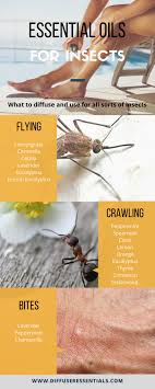 Peppermint oil also is used for a variety of health conditions and can be taken orally in dietary supplements or topically as a skin cream or ointment. Essential Oils To Repel Insects Diffuser Essentials