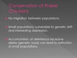 Maybe you would like to learn more about one of these? General Analysis Of Inbreeding Ppt Video Online Download