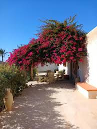 OTEL MENZEL CAJA AGHĪR 3* (Tunus)