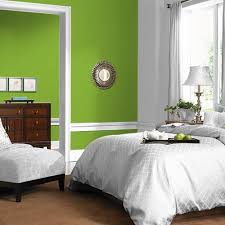 Whether you're a professional graphic designer or an amateur now that you know what values make up the lime green color code, you can be sure that you'll get. 6516 14 Paint Color From Ppg Paint Colors For Diyers Professional Painters