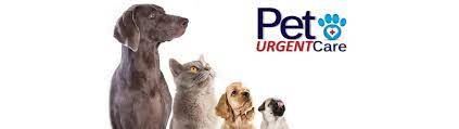 Browse the list of urgent care centers near you and see how your friends and neighbors rated them. Pet Urgent Care Llc Home Facebook