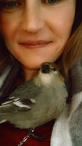 What bird sounds like a car starting