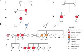 Fangda partners winston & strawn llp davies ward phillips & vineberg llp. Identification Of Familial Hodgkin Lymphoma Predisposing Genes Using Whole Genome Sequencing Medrxiv