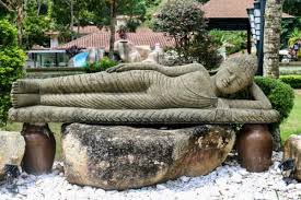 Chidlren = rm 5 single way. Jerejak Island Resort Penang S Staycation Gem The Island Drum