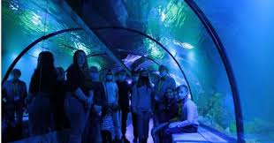 На трьох поверхах будинку розмістили більше двадцяти. Novini Loda Loda Lvivska Oblasna Derzhavna Administraciya