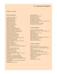 Image result for Buchnera longispicata