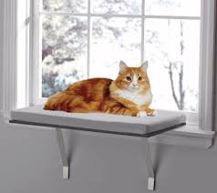 All cats love to sit by the window and enjoy the view, but not every household arrangement allows for that luxury. 7 Best Cat Window Perch Updated 2018 Pawsome Kitty