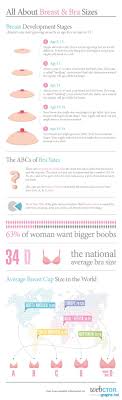 breast development stages chart graph infographics